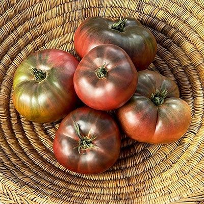 Tomato 'Black Russian' Heirloom Seeds Vegetable Seeds The LIttle Vege Patch Co