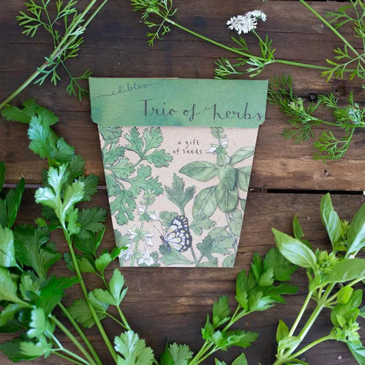 Trio of Herbs Gift of Seeds Seeds Sow 'n Sow