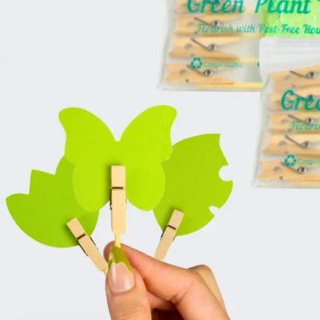 Ubloomd Nature Collection Sticky Gnat Traps - Pack of 10 Gnat Traps Ubloomd
