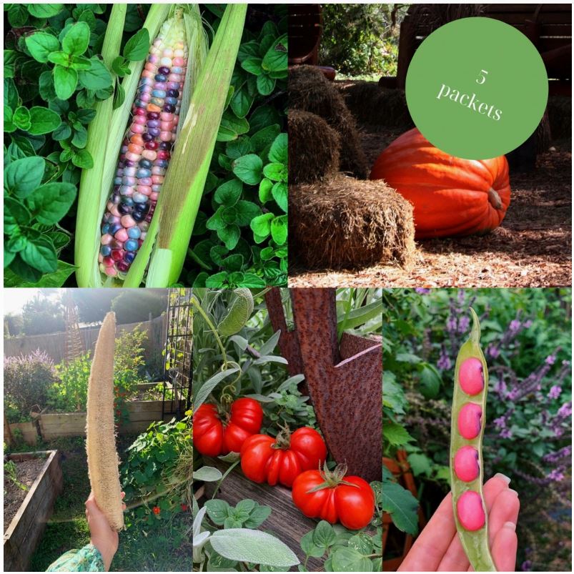 Urban Veggie Patch - Rare Seed Bundle Urban Veggie Patch
