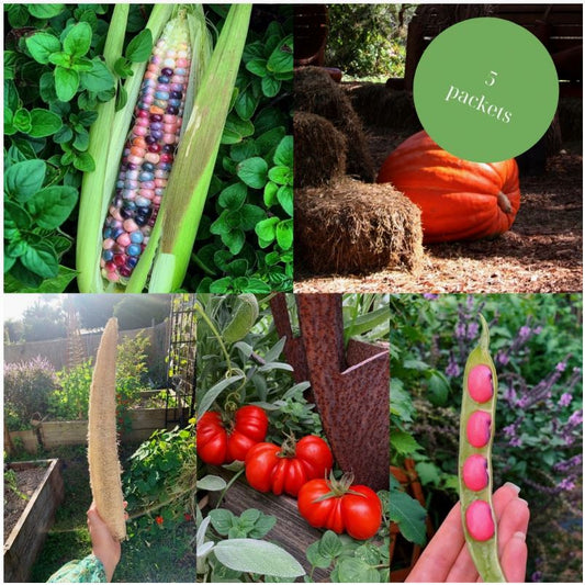 Urban Veggie Patch - Rare Seed Bundle Urban Veggie Patch