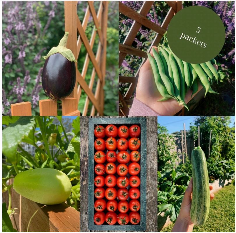 Urban Veggie Patch - Summer Garden in a Bag Urban Veggie Patch