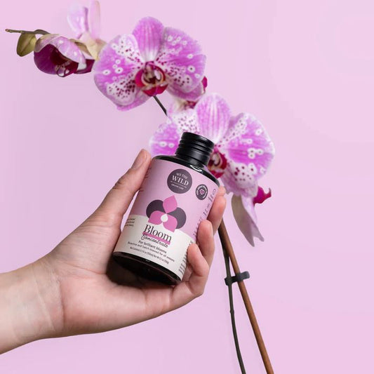 We The Wild Bloom Concentrate We the Wild Plant Care - Australia