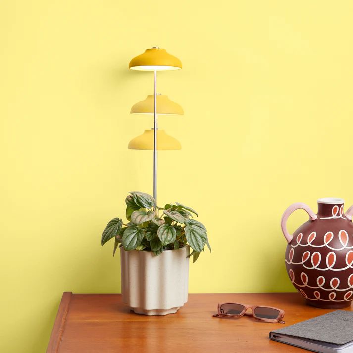 We The Wild Instant Sun Grow Lamp Grow Lamp We the Wild Plant Care - Australia