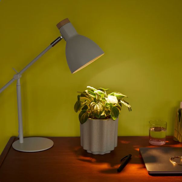 We The Wild Instant Sun Grow Light Bulb Grow Lamp We the Wild Plant Care - Australia