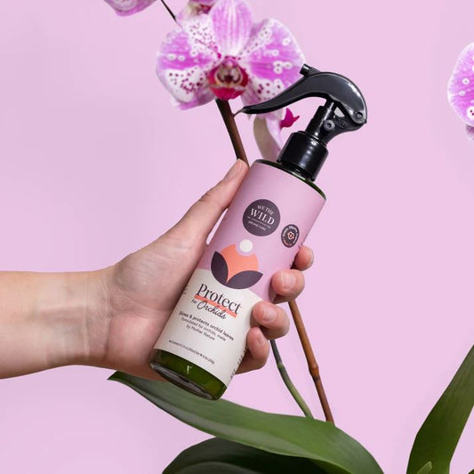 We The Wild Protect Spray for Orchids Protect Spray We the Wild Plant Care - Australia