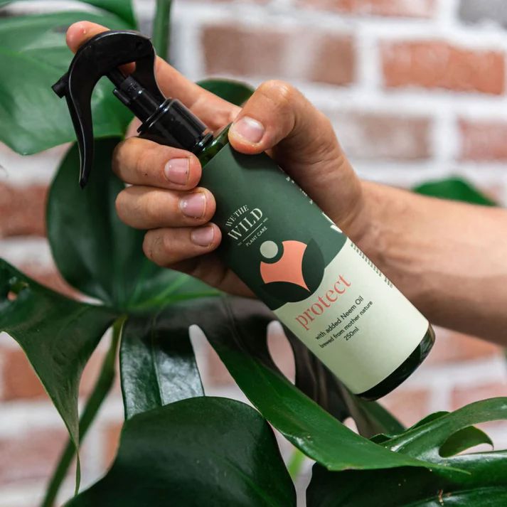 We The Wild Protect Spray with Neem - 250ml Protect Spray We the Wild Plant Care - Australia