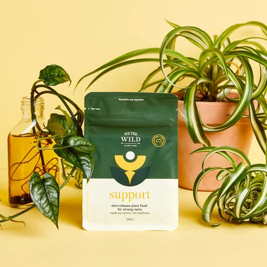 We The Wild Support Slow Release Pellets - 250g Plant Food We the Wild Plant Care - Australia