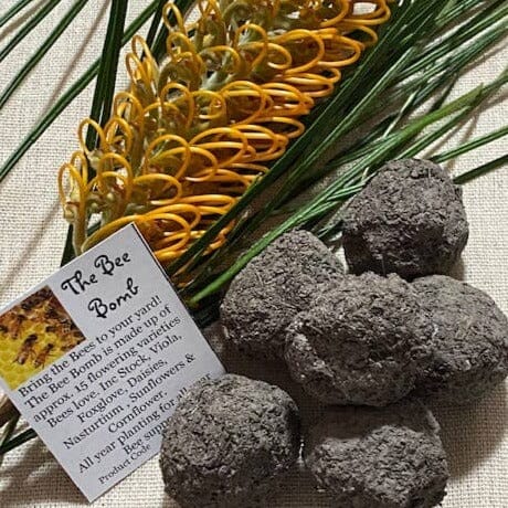 Bee Bomb Seed Bombs - 6pc Sed Bombs Aussie Seed Bombs