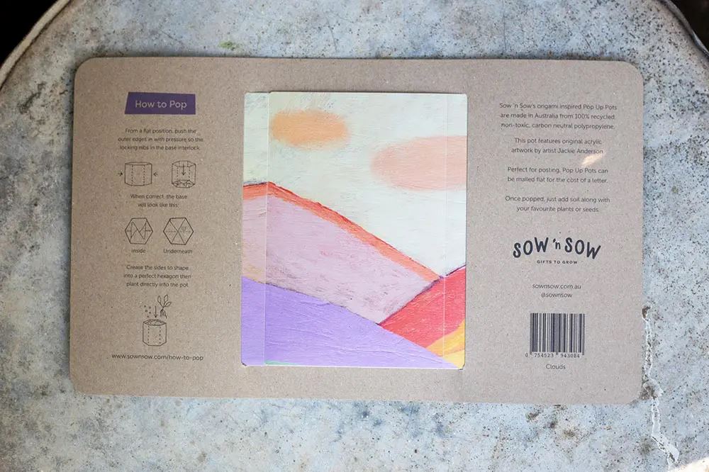 Carbon Neutral, 100% Recycled Pop Up Pot 'Clouds' - Large Pot Sow 'n Sow
