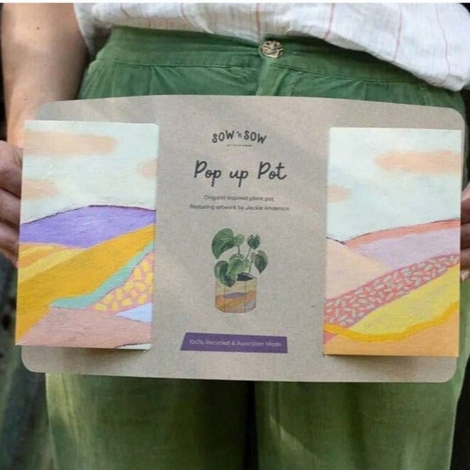 Carbon Neutral, 100% Recycled Pop Up Pot 'Clouds' - Large Pot Sow 'n Sow