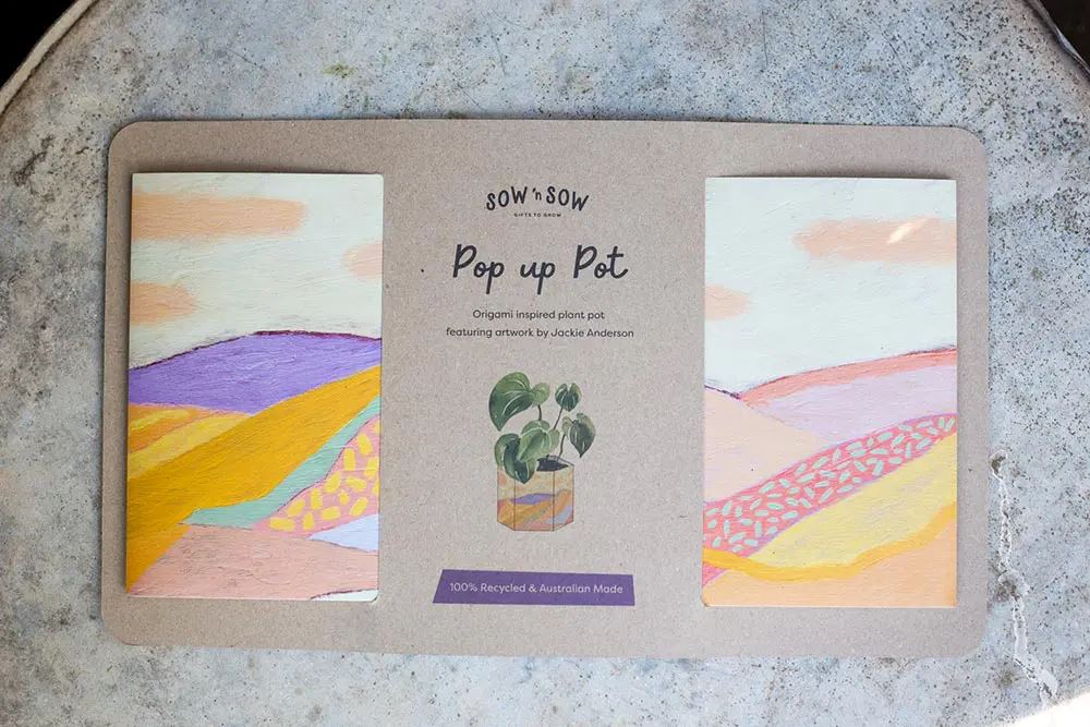 Carbon Neutral, 100% Recycled Pop Up Pot Set of 3 Jackie Anderson Pot Sow 'n Sow