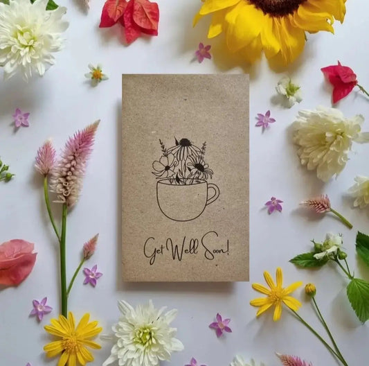 Get Well Soon - Wildflower Seeds Seeds Bee Kind Australia