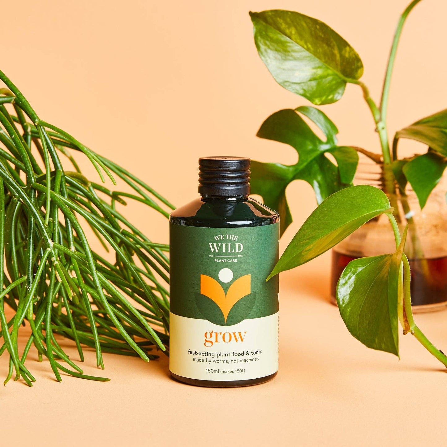 Grow Plant Food & Tonic - Case of 12 We the Wild Plant Care - Australia