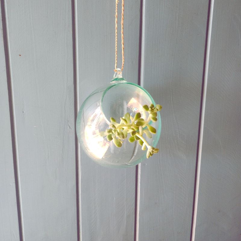 Handblown Glass Hanging Pot Glass Wall Vase Plant Folk Store