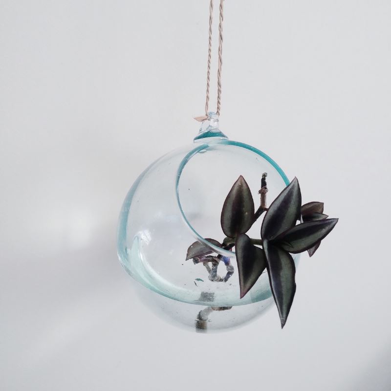 Handblown Glass Hanging Pot Glass Wall Vase Plant Folk Store