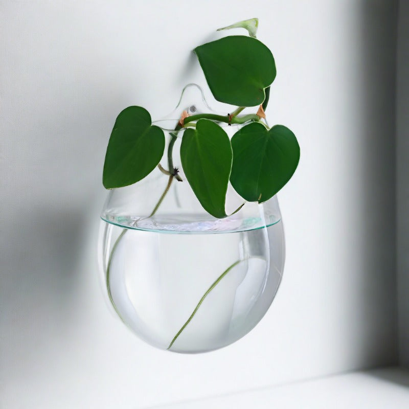 Handblown Glass Wall Vase - Medium Glass Wall Vase Plant Folk Store