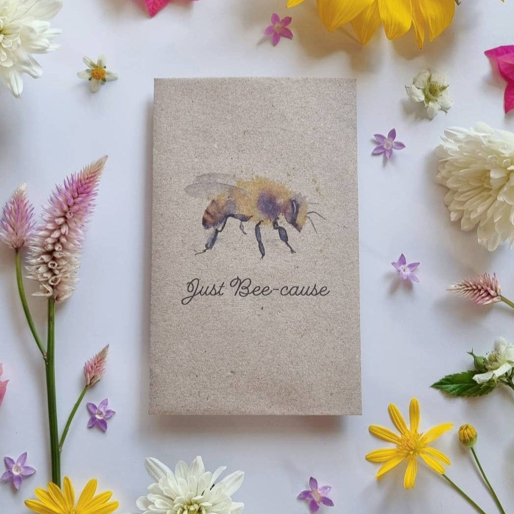 Just Bee-Cause - Wildflower Seeds Seeds Bee Kind Australia