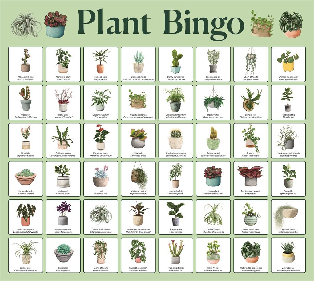 Plant Bingo Game Brumby Sunstate