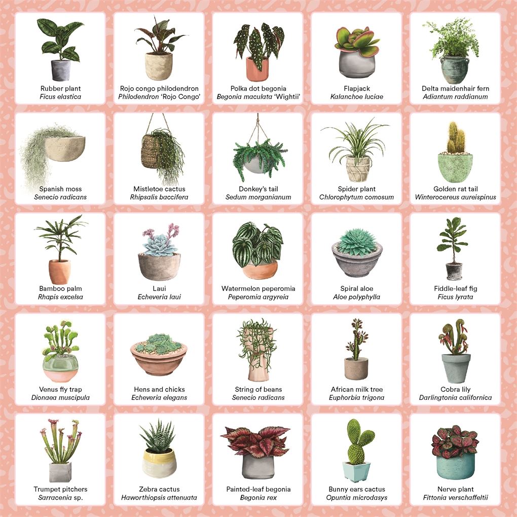 Plant Bingo Game Brumby Sunstate