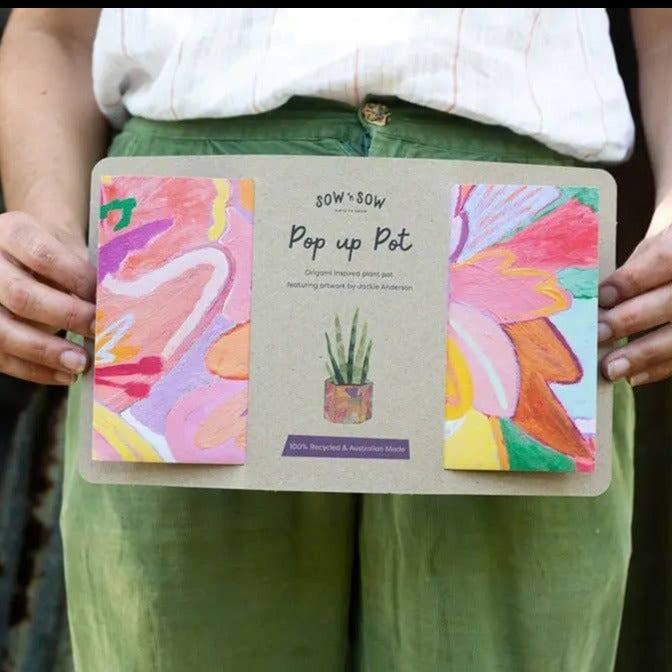 Pop Up Pot 'Bloom' Medium Pot Sow 'n Sow