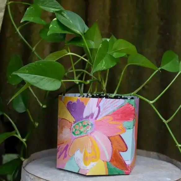 Pop Up Pot 'Bloom' - Medium Pot Sow 'n Sow