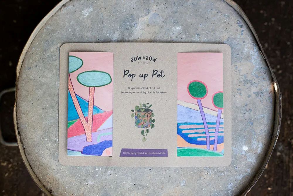 Pop Up Pot 'Yonder' Small Pot Sow 'n Sow