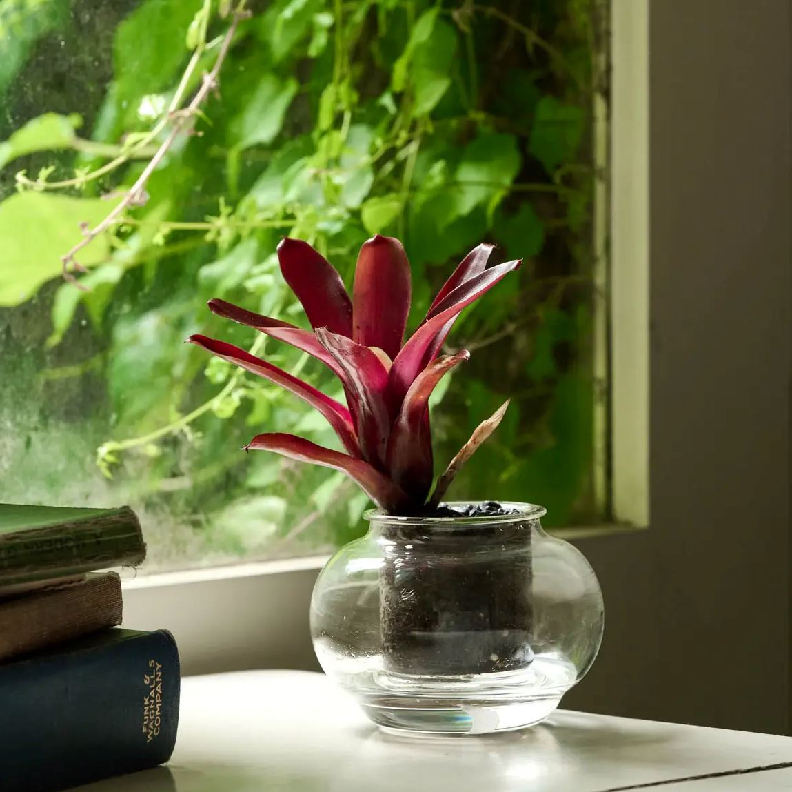 Self-Watering Planter - Small Self-watering Pot CUP O FLORA®