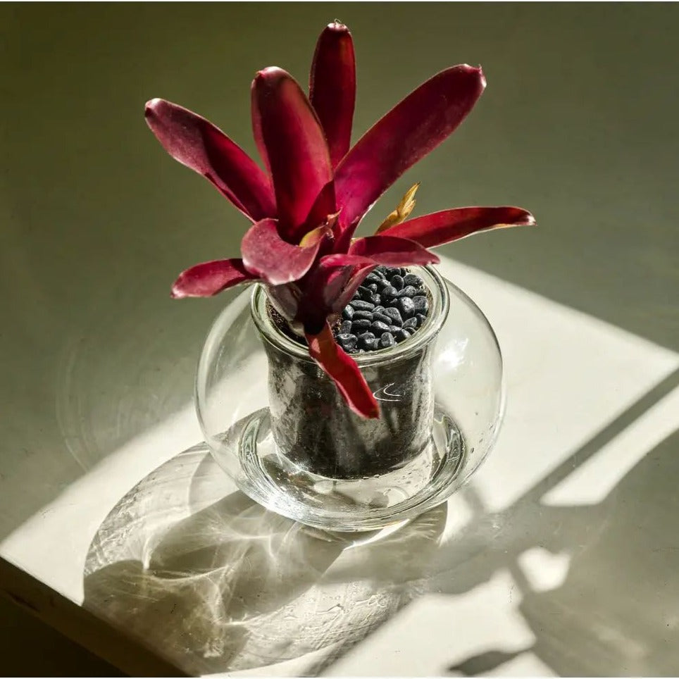 Self-Watering Planter - Small Self-watering Pot CUP O FLORA®