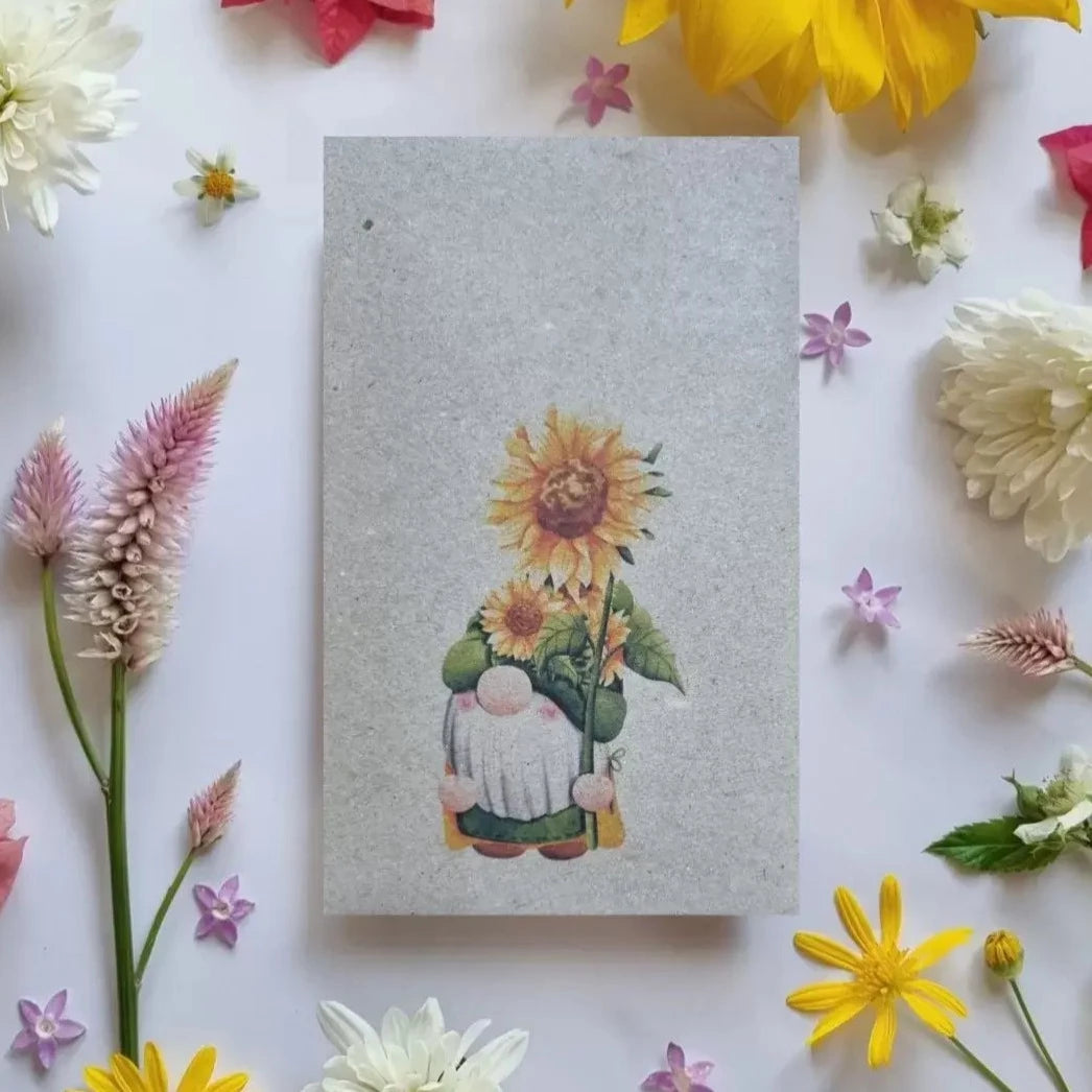 Sunflower Gnome - Giant Sunflower Seeds Seeds Bee Kind Australia