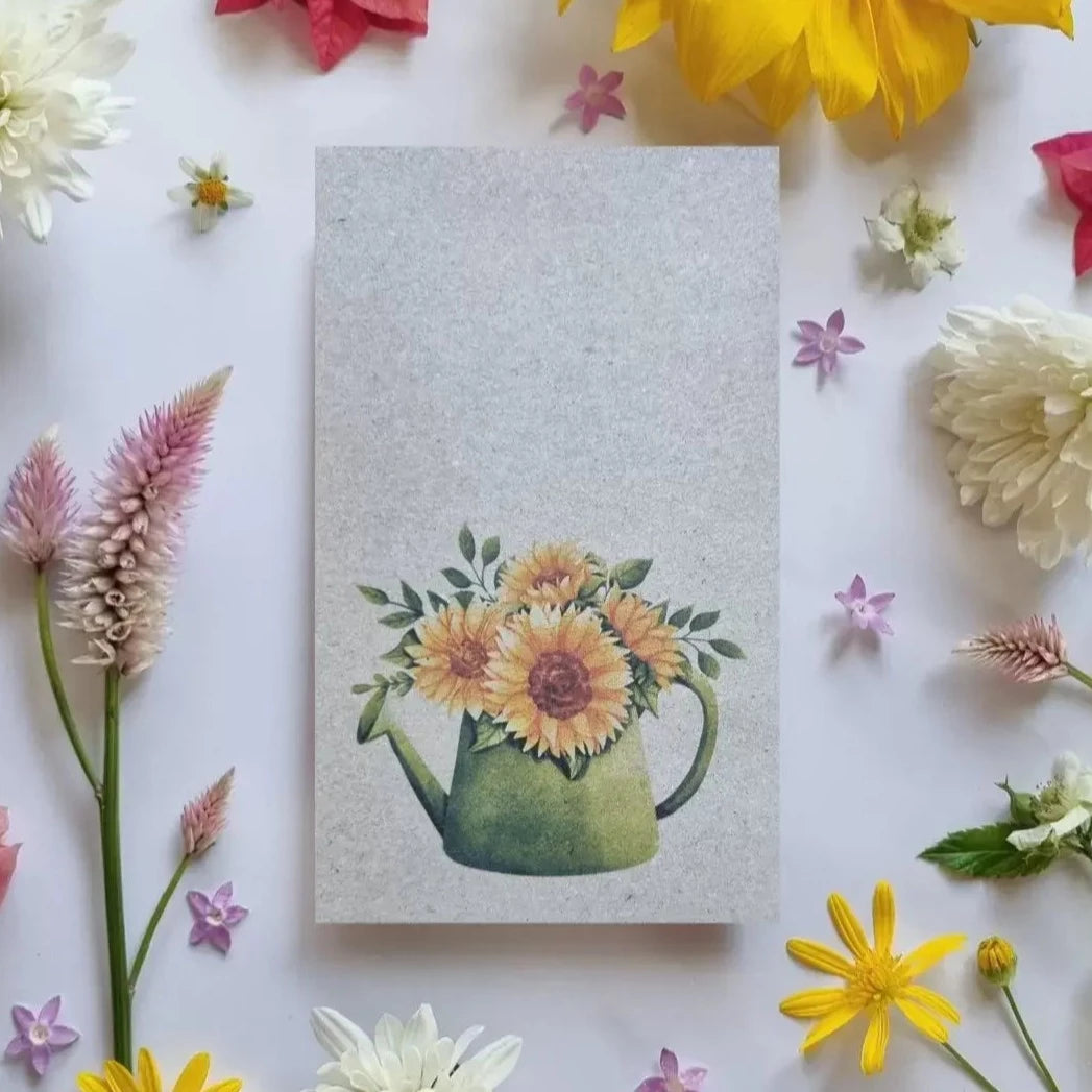 Sunflowers In Green Watering - Sunflower Seeds Seeds Bee Kind Australia