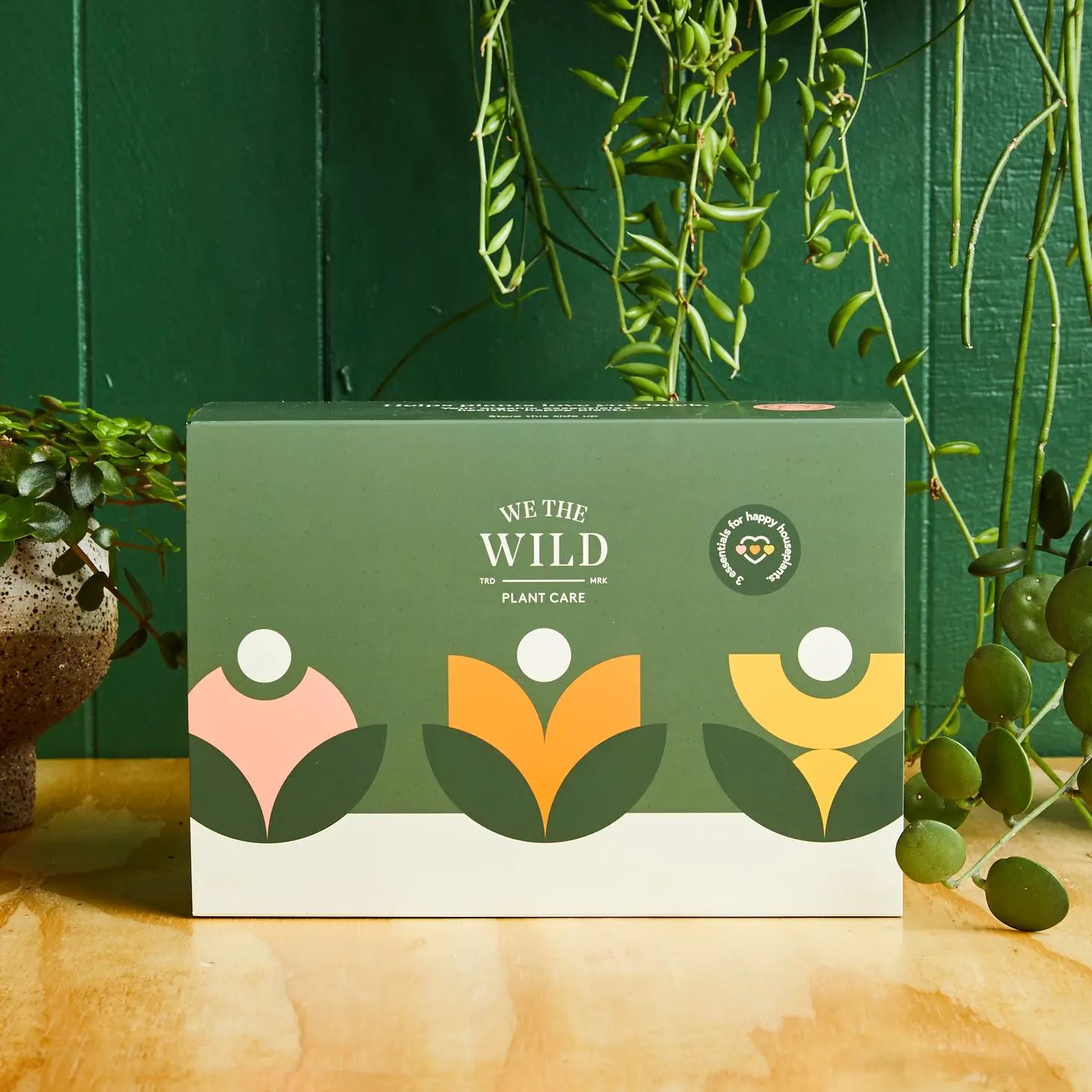 We The Wild Plant Care Essential Plant Care Kit Plant Care Kit We the Wild Plant Care - Australia