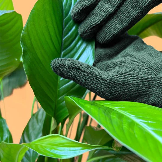 Embrace Effortless Leaf Cleaning with We The Wild's Leaf Cleaning Gloves!