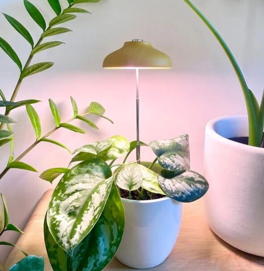 Transform Your Indoor Spaces with Instant Sunlight