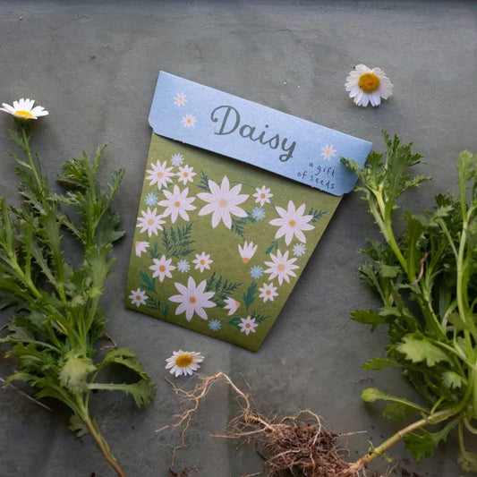 A Gift of Seeds - Daisy Seeds Sow 'n Sow 