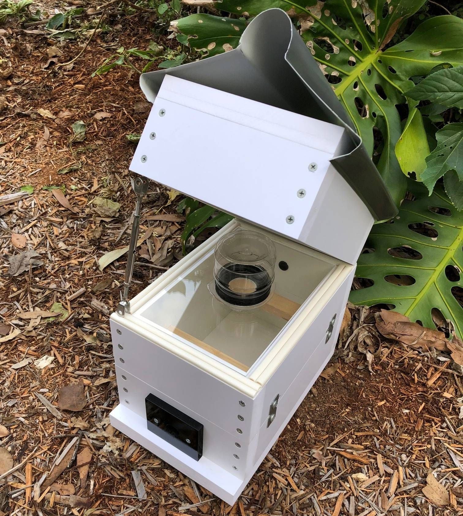 ABeeC Hives OATH Beehive Stingless Native Beehive Perspex Honey Jar with Roof Native Beehive ABeeC Hives 