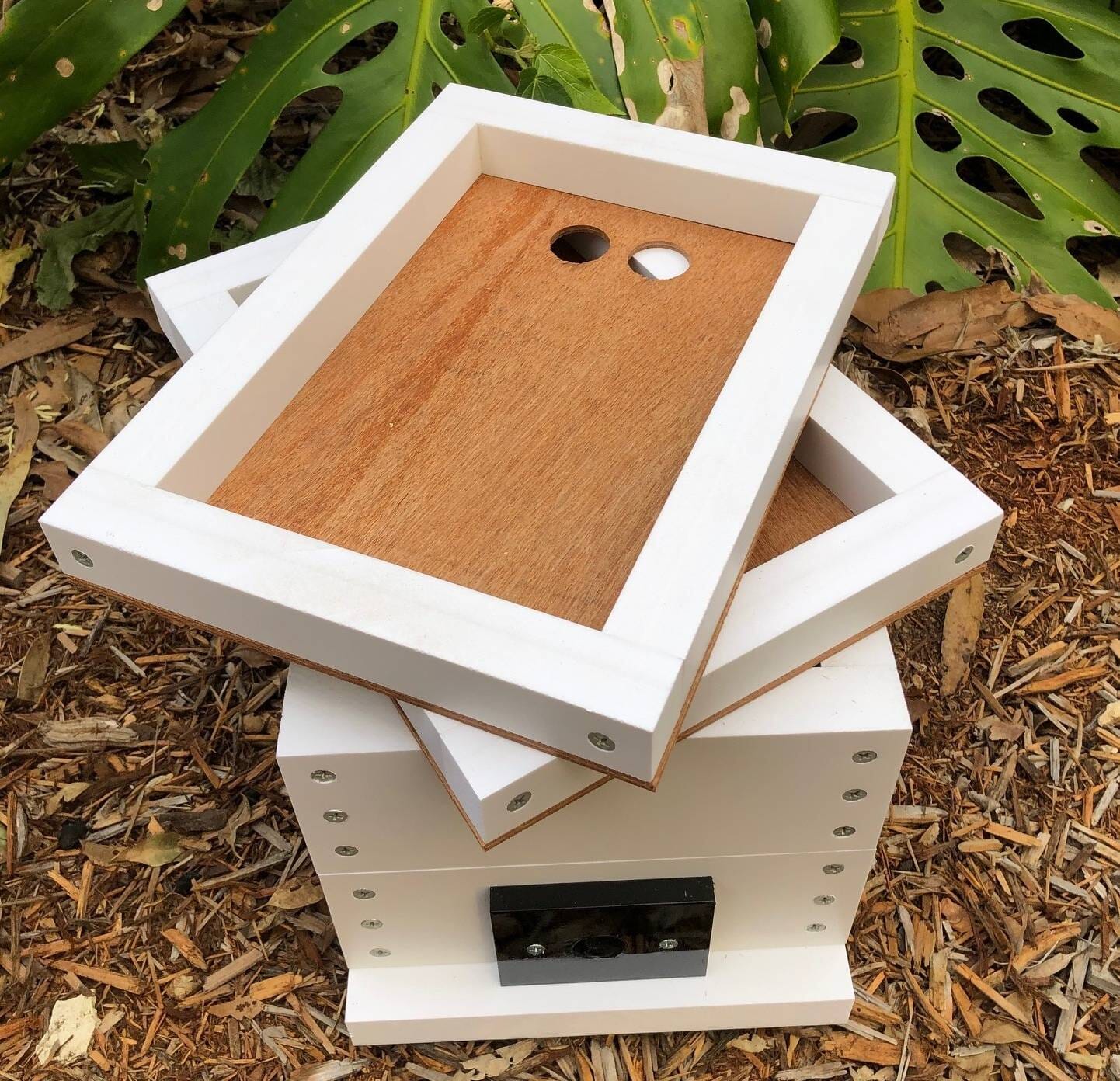 ABeeC Hives OATH Stingless Native Beehive Honey Frame with Roof Bee Hotel ABeeC Hives 