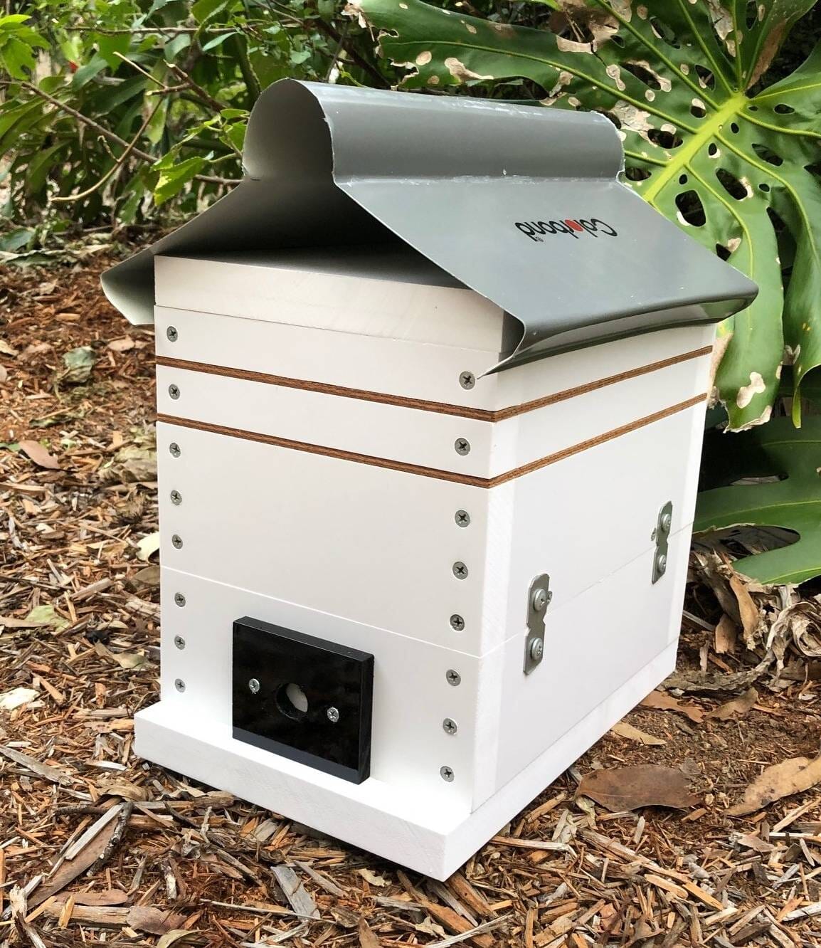 ABeeC Hives OATH Stingless Native Beehive Honey Frame with Roof Bee Hotel ABeeC Hives 