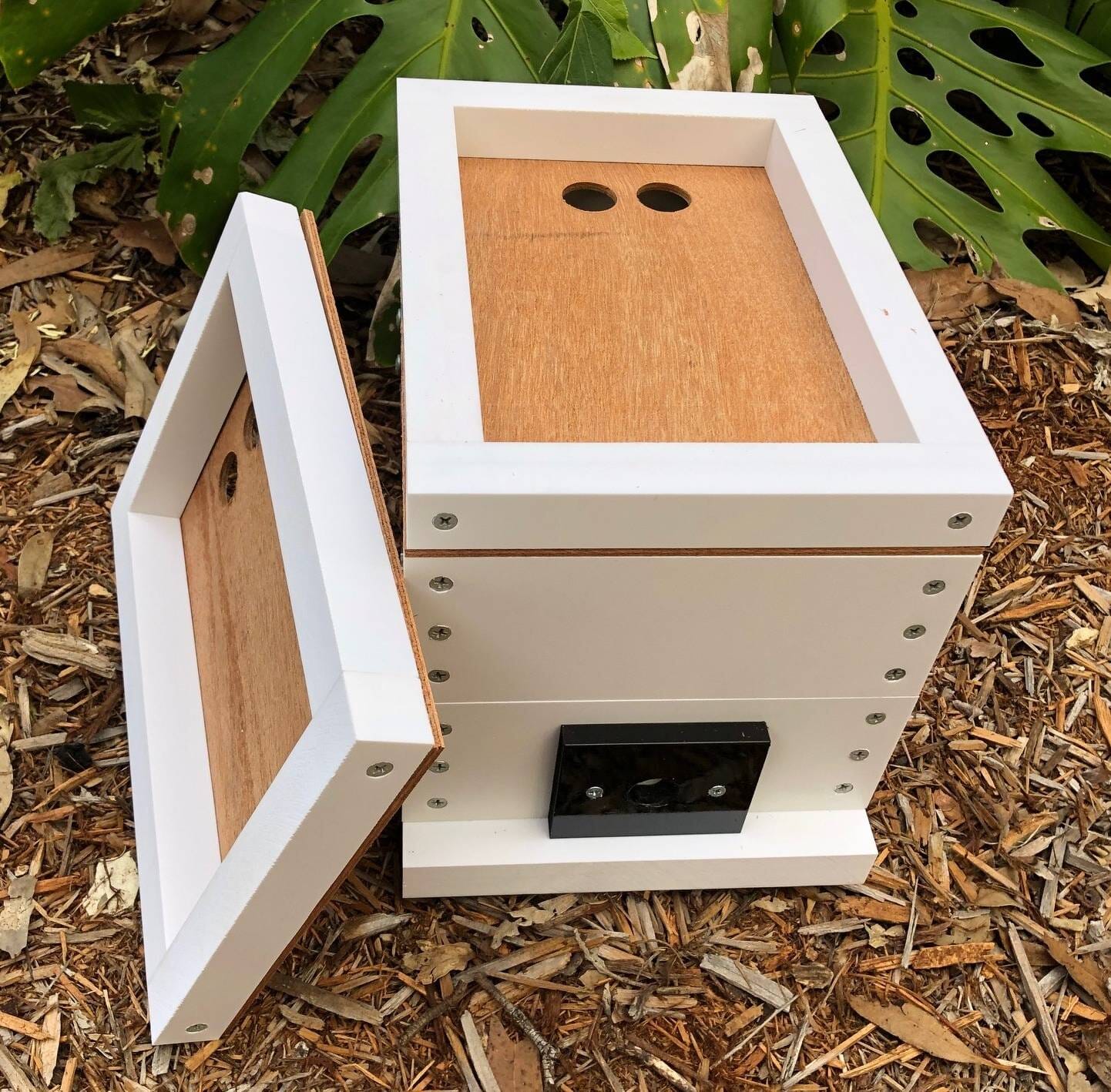 ABeeC Hives OATH Stingless Native Beehive Honey Frame with Roof Bee Hotel ABeeC Hives 