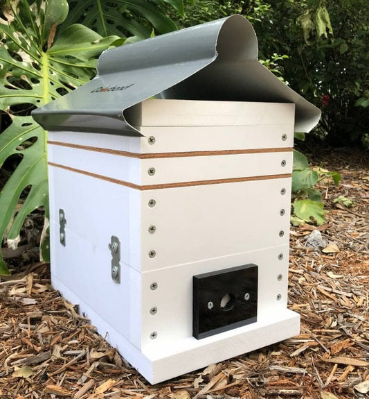 ABeeC Hives OATH Stingless Native Beehive Honey Frame with Roof Bee Hotel ABeeC Hives 