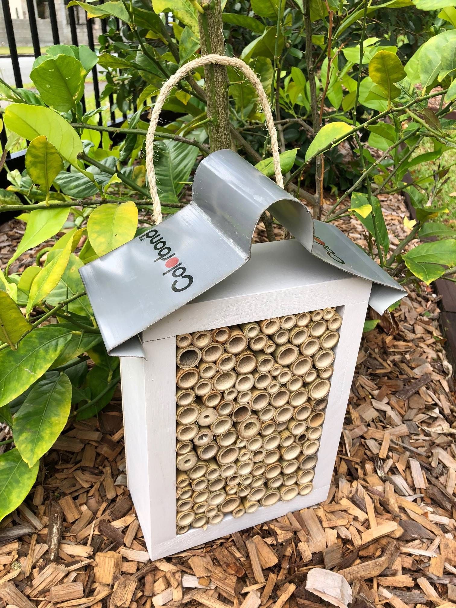 ABeeC Hives Solitary Native Bee Hotel - Painted/All Bamboo (Large) Bee Hotel ABeeC Hives 