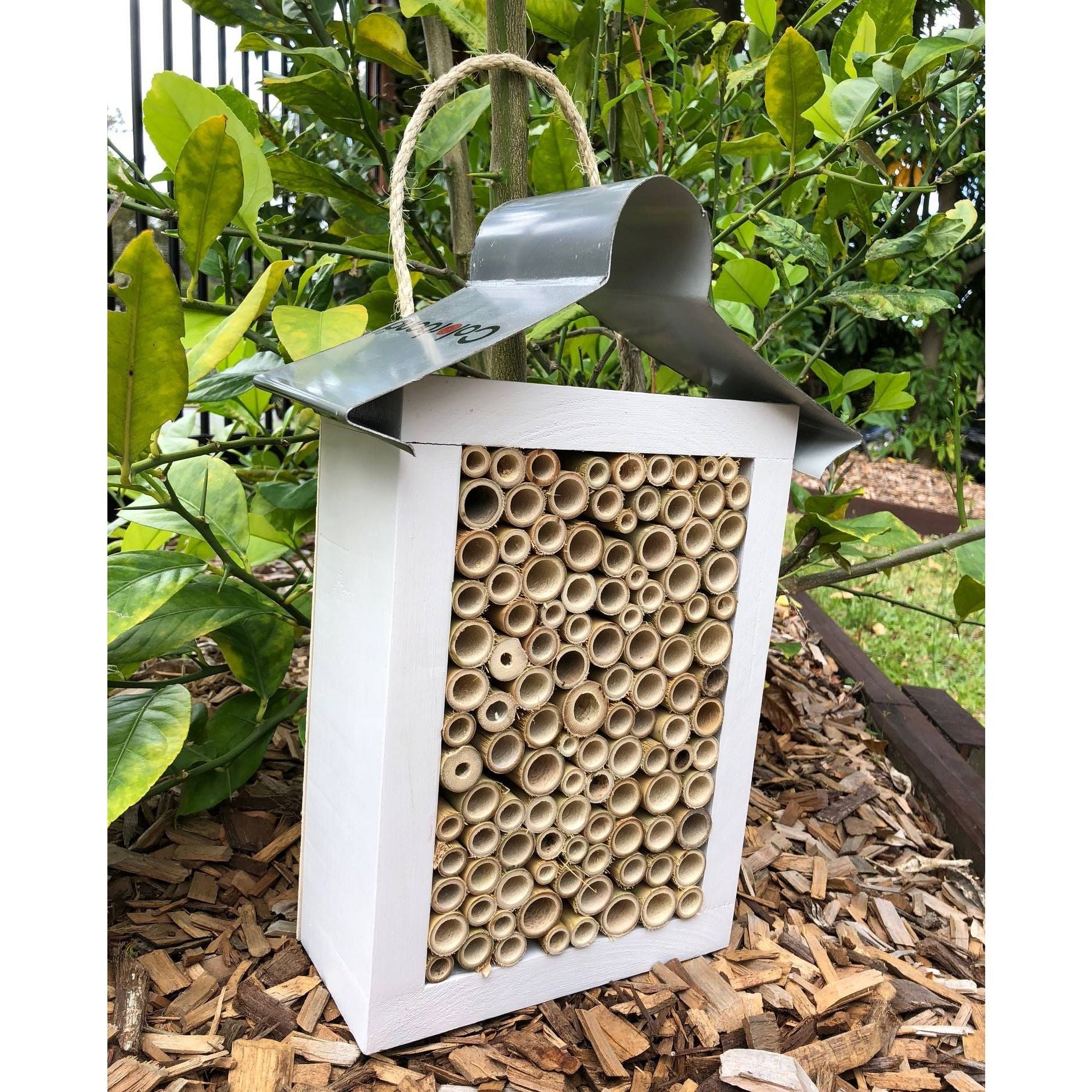 ABeeC Hives Solitary Native Bee Hotel - Painted/All Bamboo (Large) Bee Hotel ABeeC Hives 