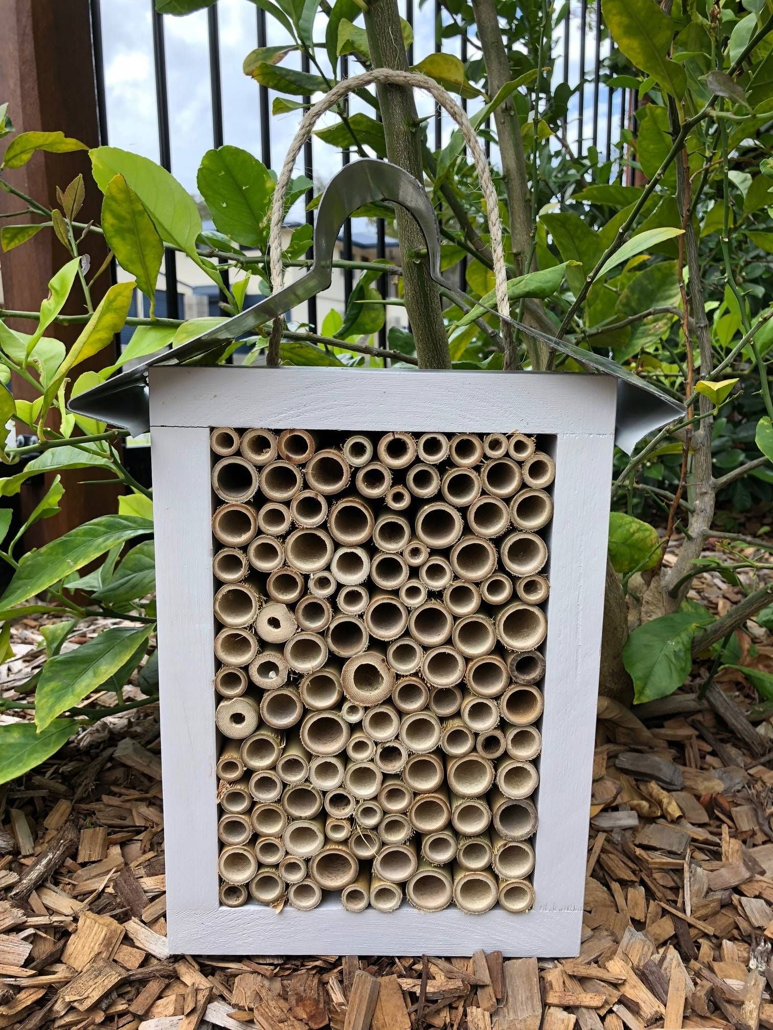 ABeeC Hives Solitary Native Bee Hotel - Painted/All Bamboo (Large) Bee Hotel ABeeC Hives 