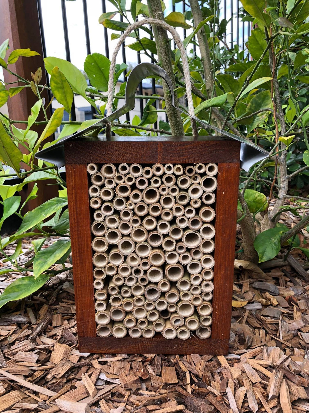Asb Hive ABeeC Hives Solitary Native Bee Hotel - Stained/All Bamboo (Large)