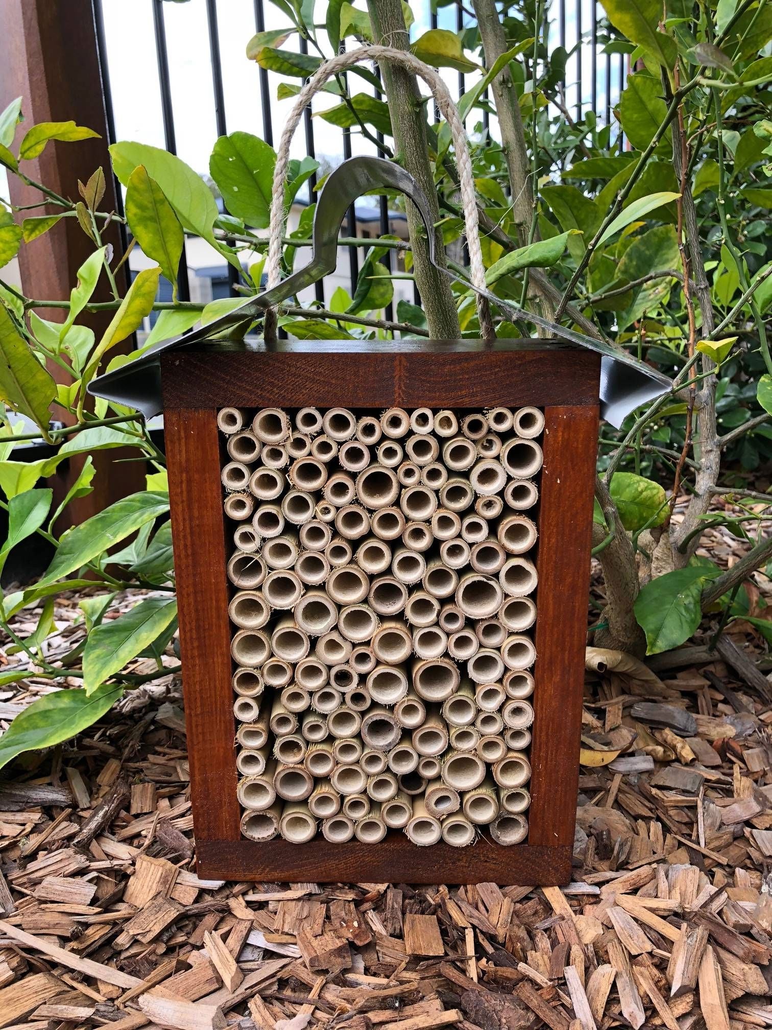 ABeeC Hives Solitary Native Bee Hotel - Stained/All Bamboo (Large) Bee Hotel ABeeC Hives 
