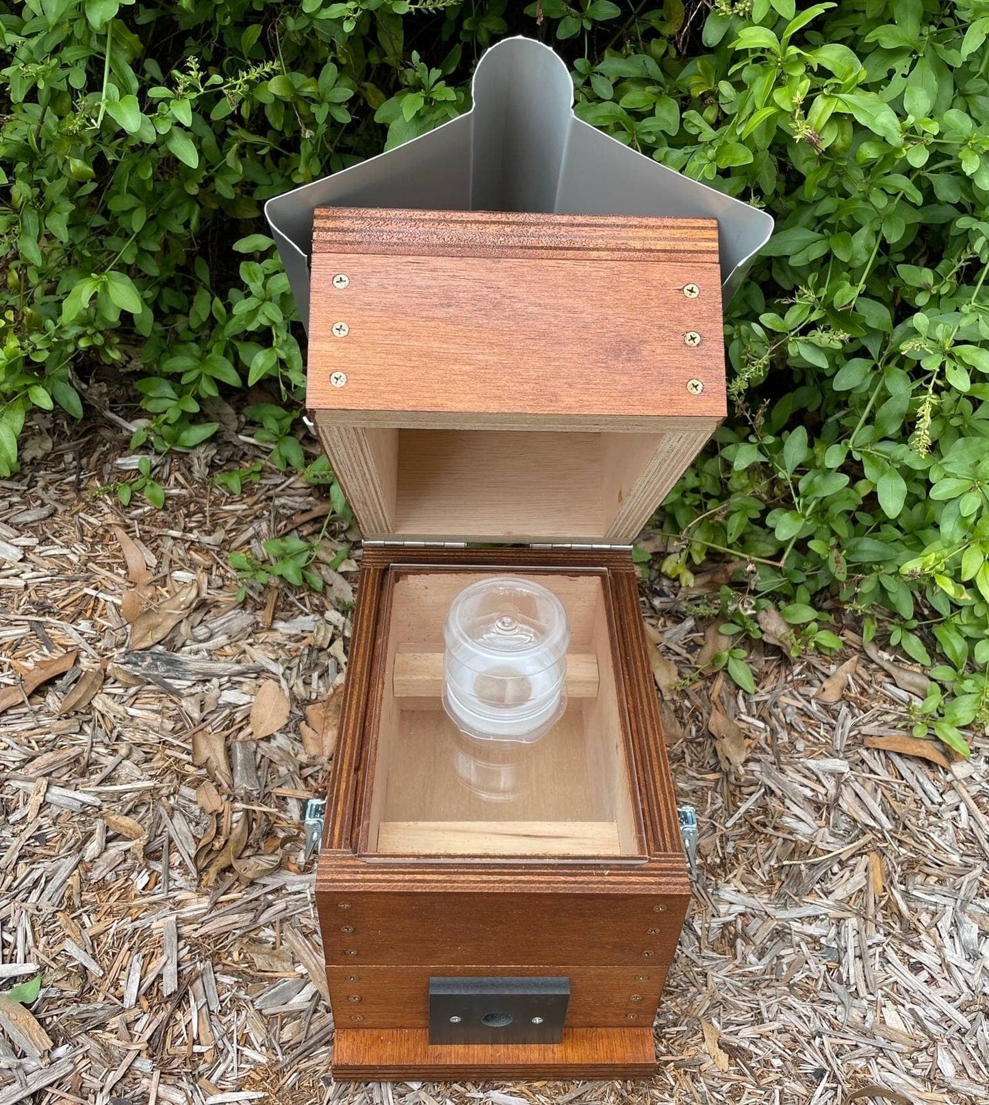 ABeeC Hives Stained OATH Beehve Stingless Native Beehive Perspex Honey Jar Hinged Lid Design with Roof Native Beehive ABeeC Hives 