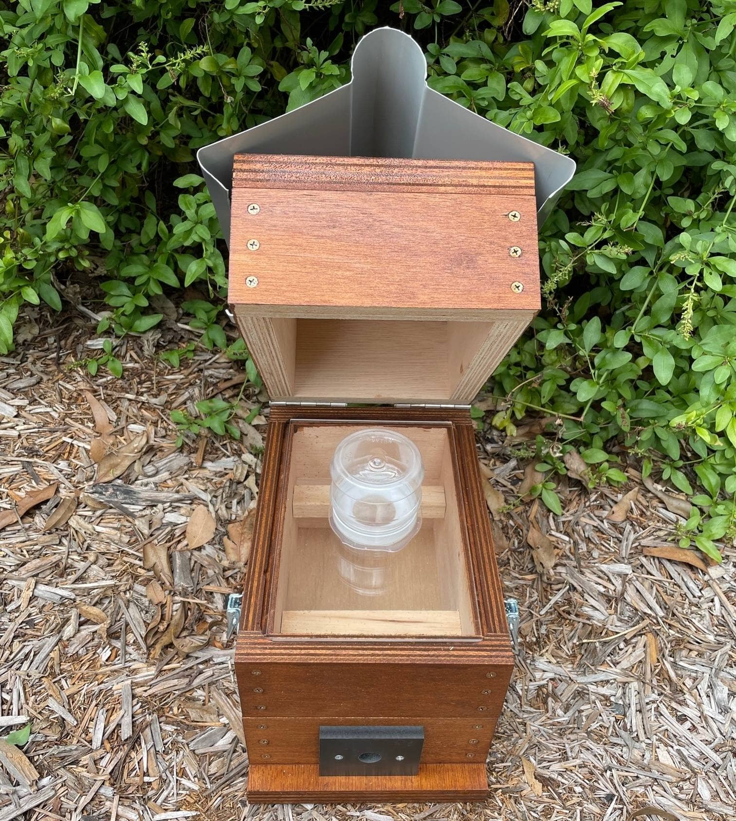 ABeeC Hives Stained OATH Beehve Stingless Native Beehive Perspex Honey Jar Hinged Lid Design with Roof Native Beehive ABeeC Hives 