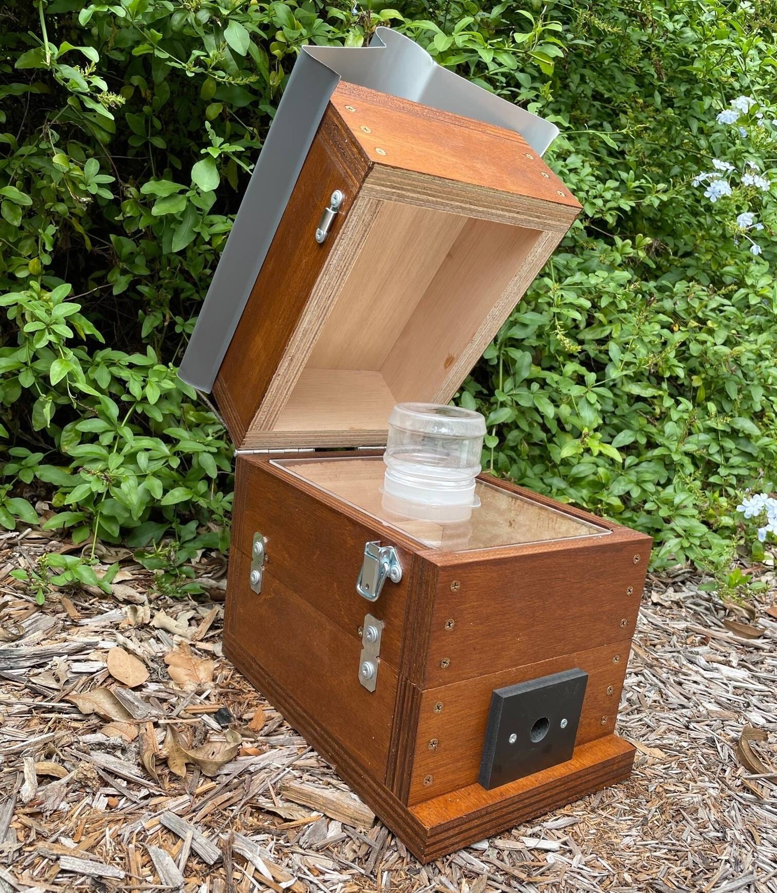 ABeeC Hives Stained OATH Beehve Stingless Native Beehive Perspex Honey Jar Hinged Lid Design with Roof Native Beehive ABeeC Hives 