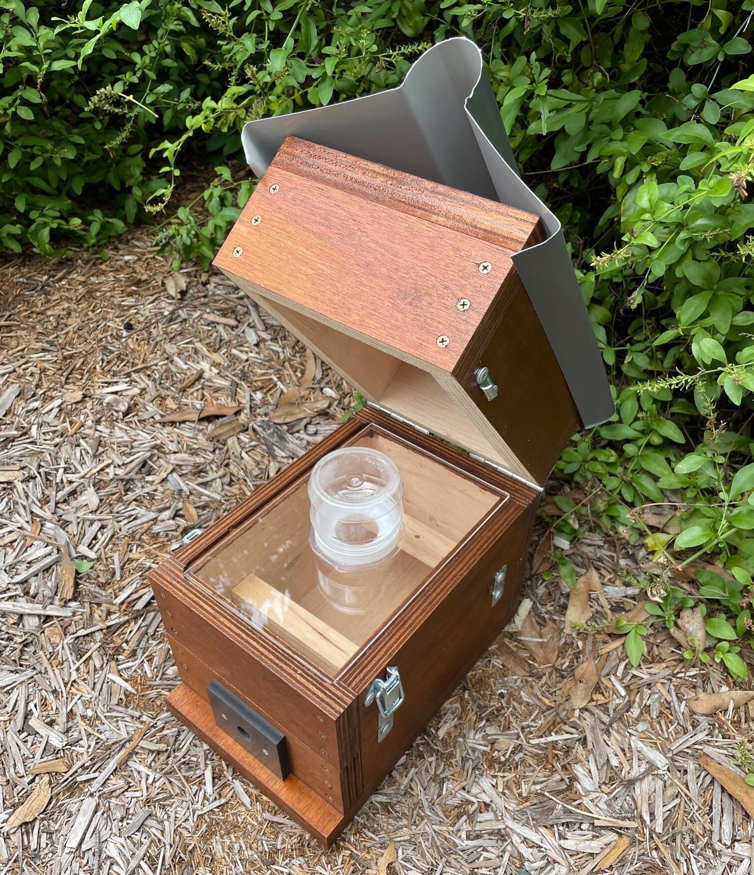 ABeeC Hives Stained OATH Beehve Stingless Native Beehive Perspex Honey Jar Hinged Lid Design with Roof Native Beehive ABeeC Hives 