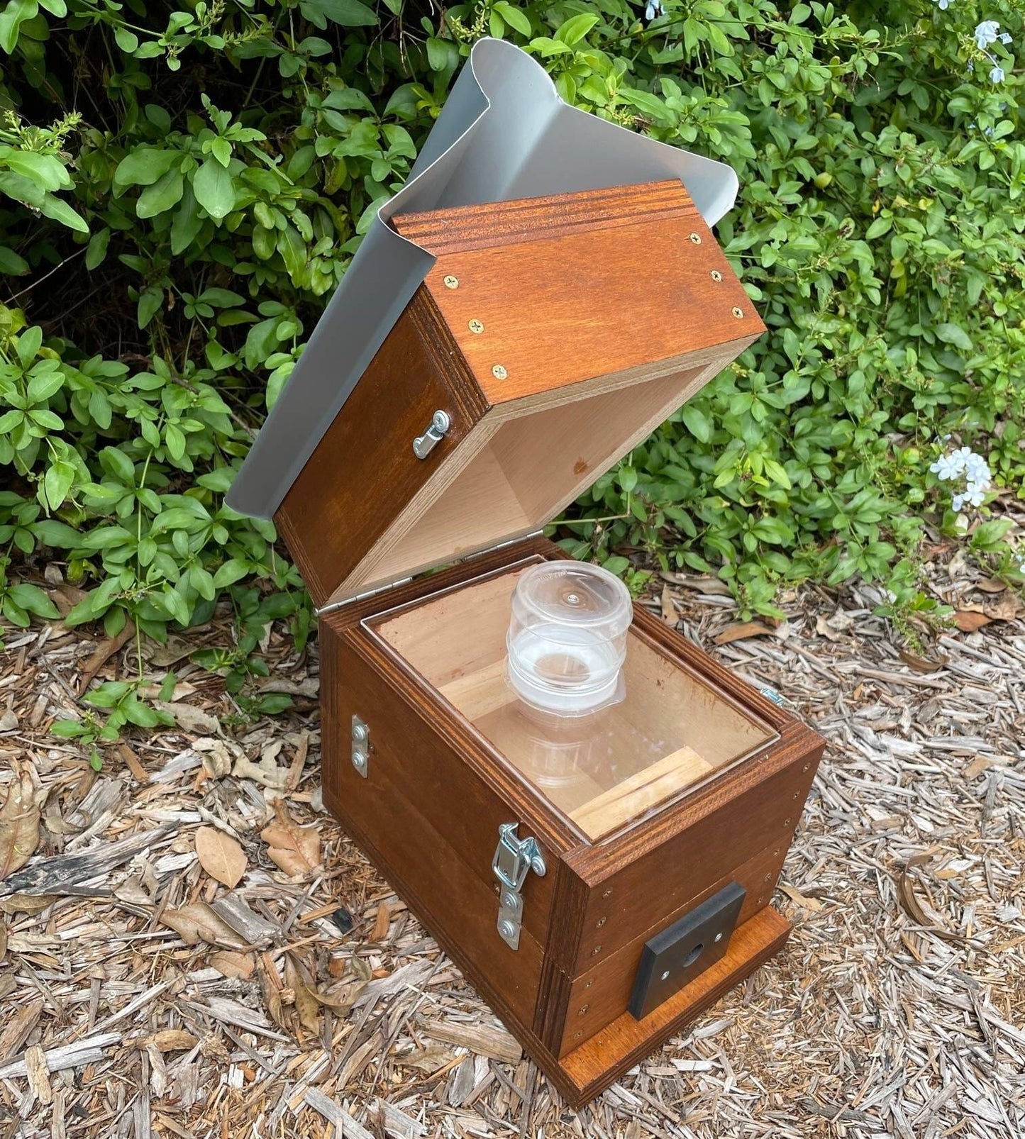 ABeeC Hives Stained OATH Beehve Stingless Native Beehive Perspex Honey Jar Hinged Lid Design with Roof Native Beehive ABeeC Hives 